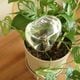�ڤ����󤻡�Ferm Living (�ե������ӥ�) Mercury Water Globes (�ޡ�����꡼������������������) 2�ĥ��å� �̲�/����ƥꥢ/�����ǥ˥�/������������Ź��