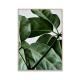 ڥڡоݡۡڤ󤻡Paper Collective (ڡѡ쥯ƥ) ݥ 5070 Green home 01 (꡼ۡ) ̲/ƥꥢ/Ź̵