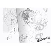 ̡辦Źۥץȥʣڥꥨå/20th Anniversary Shop/ͤϤޤ
