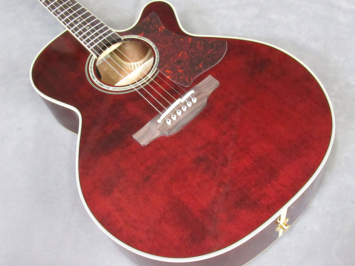 ★タカミネエレアコ500シリーズ TAKAMINE DMP551C WR 【スペア弦&レビュー特典付き!】 【送料無料】-光栄堂楽器 ★タカミネエレアコ500シリーズ TAKAMINE DMP551C WR 【スペア弦&レビュー特典付き!】 【送料無料】-光栄堂楽器