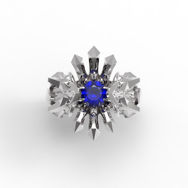 SAMURAI Ring