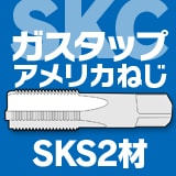 ������������ �������ѥ��åס�SKS2�ॢ��ꥫ�ͤ�