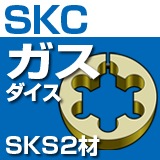 ����������������������SKS2��