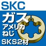 SK६ѥꥫͤSKS2