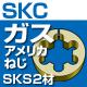 SK६ѥꥫͤSKS2