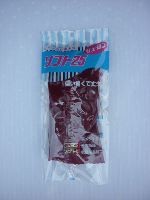 ����������塼���󥽥ե�25��������ޡ�10����