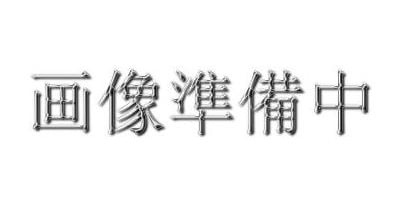 KH��W1JNWS-17�����֥뤸��Ф���䡼�ɡ�������ߥեå����֥�å��ߥ���С�