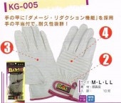 �ۡ����󥰥����֡�KG-005���ʥå��륬���ɡ�����ޡ�10���ȡ����᡼�����߸˳�ǧ����