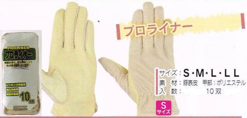 �ۡ����󥰥����֡��ץ��饤�ʡ�������ޡ�10���ȡ����᡼�����߸˳�ǧ����