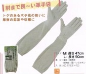 ۡ󥰥֡ɪޤĹ׼ޡ10ȡ᡼߸˳ǧ