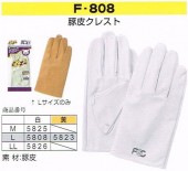 ٻΥ֡F-808ԥå饯쥹ޡ10ȡ᡼߸˳ǧ