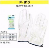 �ٻΥ������֡�F-810���ԥå����������󥷥ܥ�����ޡ�10���ȡ����᡼�����߸˳�ǧ����