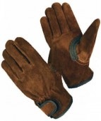 �ٻΥ������֡�IT-38���ޥ��å��ե֥饦������ޡ��������䶯�ա�10���ȡ����᡼�����߸˳�ǧ����