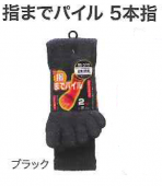 �����դ����ޡ�BS-319���ؤޤǥѥ���5�ܻط��������������Ȥʤ���2­��