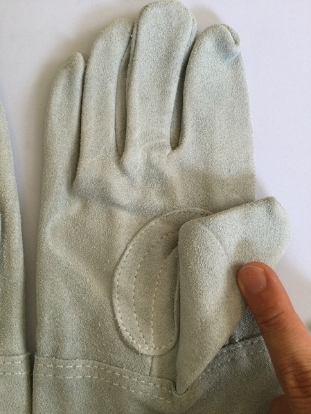 ΤФΤСN440˾˥ޡ5ȡ̾