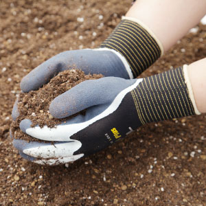 ���¥����ݥ졼�����324���᥸�㡼�����֥ץ饹������Ѽ��ޡ�10���ȡ����᡼�����߸˳�ǧ����