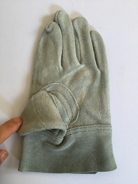 �ΤФΤС�N442���˾奪������˥��������ޡ�5����