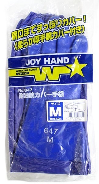 ���¥����ݥ졼�����647�������ӥ��С����ޡ����祤�ϥ�ɡ��ӥ��С��ե�����ޡ�10����