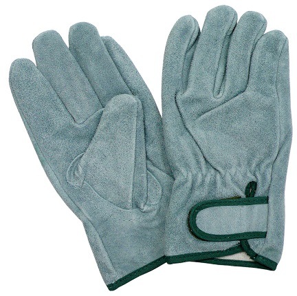 �ΤФΤС�R303�����������ʥޥ��å�������ޡ�5����