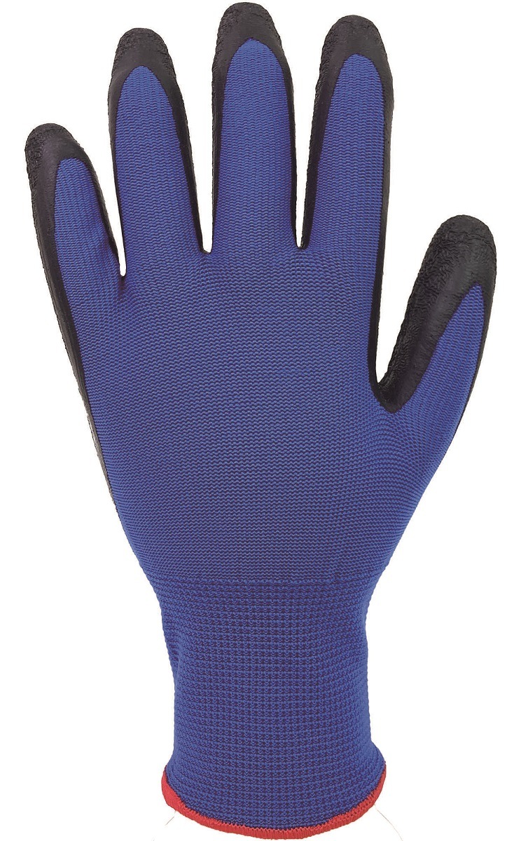 ���ȥࡡBP145��ŷ��������ȴ���ޡ��֥롼��1������(10���ȡ�24��)������Ѽ���