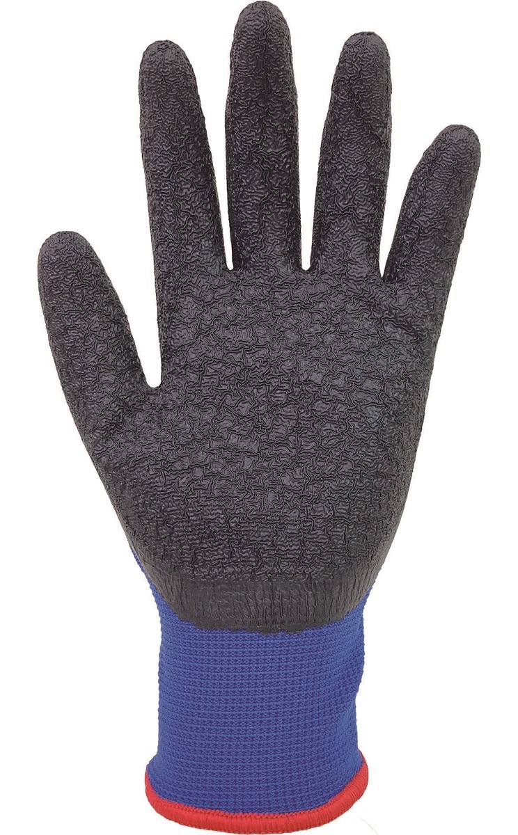 ���ȥࡡBP145��ŷ��������ȴ���ޡ��֥롼��1������(10���ȡ�24��)������Ѽ���