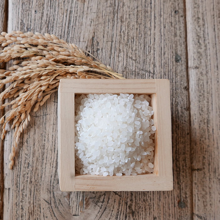 【2024年産】momo farmのお米 コシヒカリ・とちぎの星・ゆうだい21 10kg