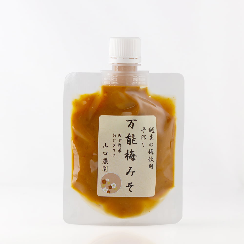 【数量限定】 産地直送! 山口農園のこだわりの梅詰合せ【特選】