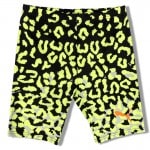 PUMA ELITE HARF TIGHTS exclusive ���������ݡ��ĥ��ꥸ�ʥ� �ϡ��ե����� �ס��� ��󥺥��˥󥰥����� wpum(52528305)