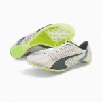 �ס��� ���������ԡ��� TOKYO �ե塼���㡼 3 PUMA EVOSPEED TOKYO FUTURE 3 ��˥��å��� û��Υ�� Φ�她�ѥ��� 24pmsptk(37633101)  2502stk ����饤�󥹥ȥ����� ���ʸ��Բ� fws 0128