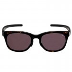 Eyevol SHAW (52) DM-DG-DK.GRY ���󥰥饹 ��������Ź(shawdmdgdkgry)
