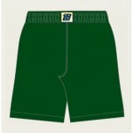 �ܡ���饤�� �١����å��Х������硼�� �Х����åȥܡ���ѥ�� �Х��ѥ� BALLLINE BASIC BAGGY SHORTS 2025(blb7002green)  2502bwtk