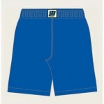 �ܡ���饤�� �١����å��Х������硼�� �Х����åȥܡ���ѥ�� �Х��ѥ� BALLLINE BASIC BAGGY SHORTS 2025(blb7002royal)  2502bwtk