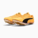 �ס��� ���������ԡ��� �֥�å��� 6 PUMA evoSPEED BRUSH 6 ��˥��å��� û��Υ�� Φ�她�ѥ��� 2025psp (31198401)  2502stk ����饤�󥹥ȥ�����