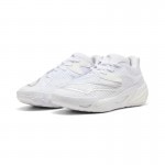 �ס��� ��� ������ץ� �˥ȥ� 2 PUMA ALL-PRO NITRO2 312839-02 �Х����åȥܡ��륷�塼�� �Хå��� 26sspmbb(31283902)  26btk