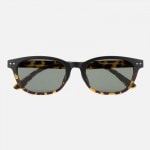 ���󥰥饹 TYMER �����ޡ� HARDY2 �ϡ��ǥ�2 Tortoise2/Green Polarized TY107-MT2-GNP �и���� ��������Ź������(ty107-mt2-gnp)