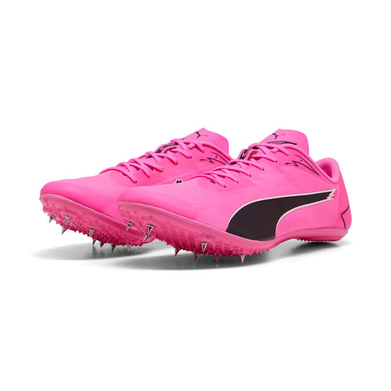 �ס��� ���������ԡ��� �֥�å��� 7 ��˥��å��� û��Υ�� Φ�她�ѥ��� 312969-03 PUMA evoSPEED BRUSH 7 2026psp ppk(31296903)