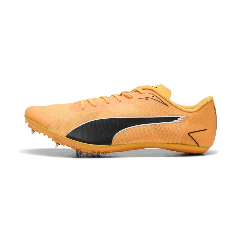 プーマ エヴォスピード ブラッシュ 7 PUMA evoSPEED BRUSH 7 312969-01
