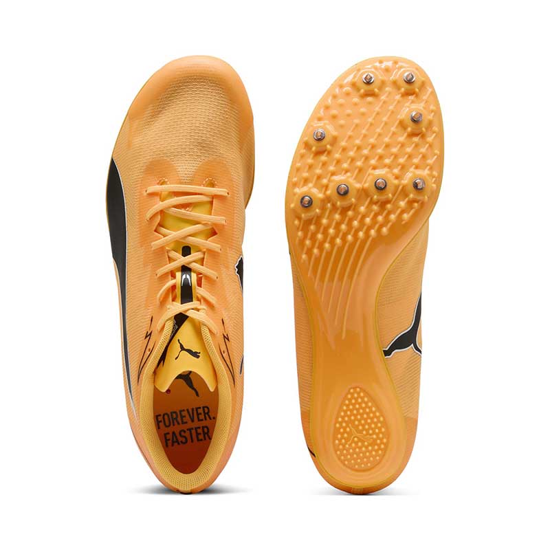 プーマ   エヴォスピード プーマ エヴォスピード ブラッシュ 7 PUMA evoSPEED BRUSH 7 312969-01