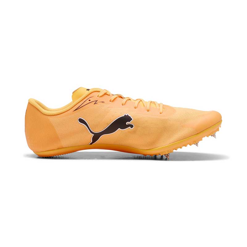 プーマ エヴォスピード ブラッシュ 7 PUMA evoSPEED BRUSH 7 312969-01