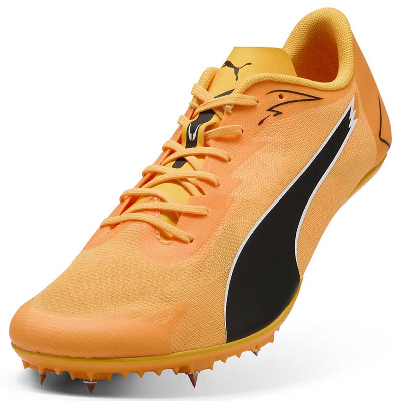 プーマ エヴォスピード ブラッシュ 7 PUMA evoSPEED BRUSH 7 312969-01