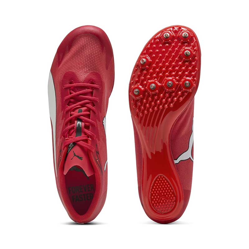 プーマ エヴォスピード ブラッシュ 7 PUMA evoSPEED BRUSH 7 312969-02