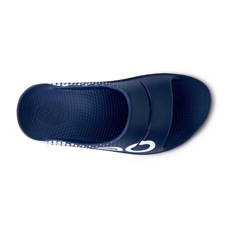 DHバー　カルマト　ウィアウィズ VICTAS