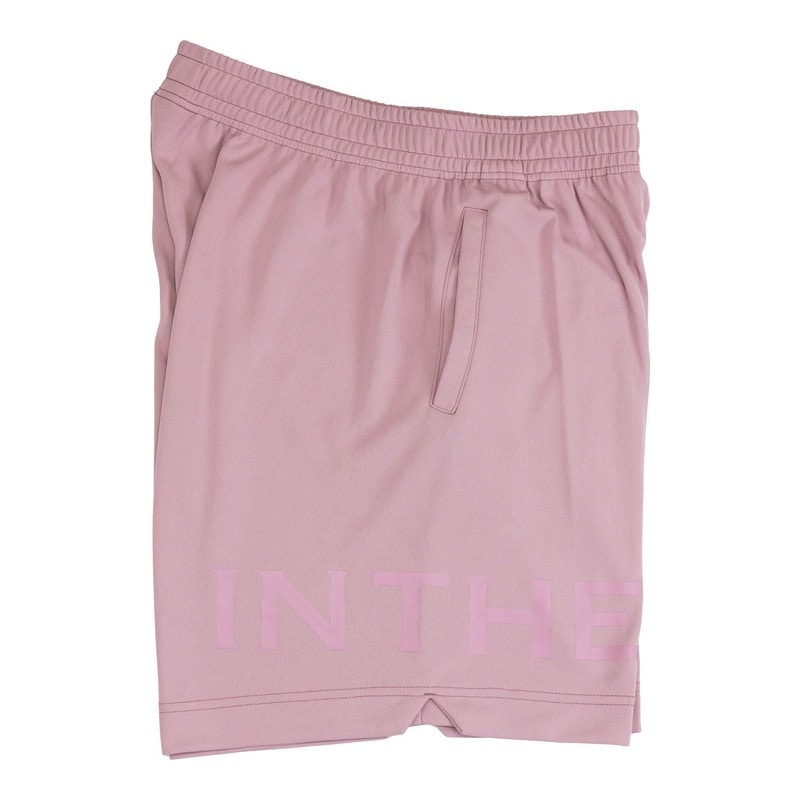 IN THE PAINT SHORTS インザペイント ボールド ショーツ 膝上ショート