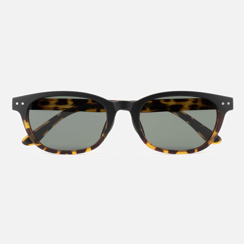 サングラス TYMER タイマー HARDY2 ハーディ2 Tortoise2/Green