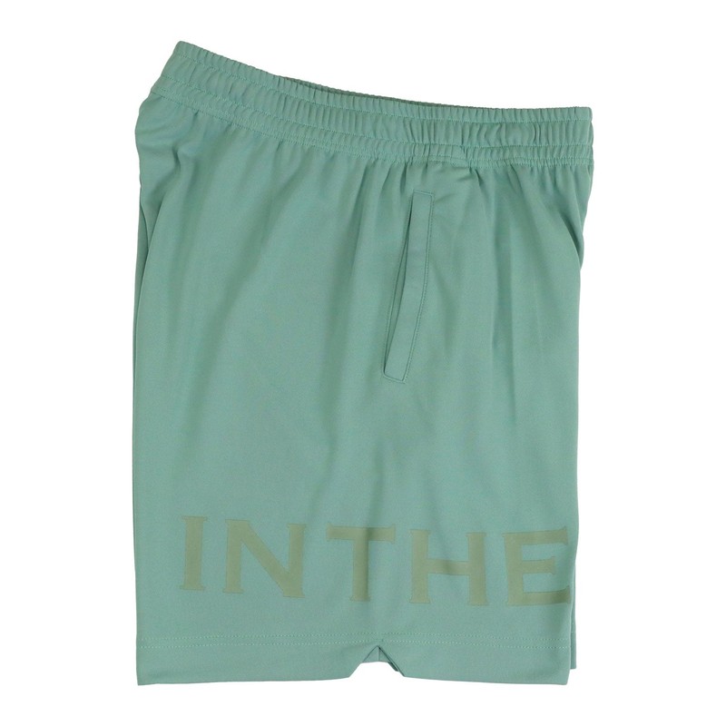 IN THE PAINT SHORTS インザペイント ボールド ショーツ 膝上ショート
