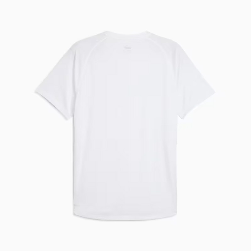 PUMA RUN  VELOCITY T����� �ס��� ��󥺥��˥󥰥����� 2025SS wpum(52723802)  ����饤�󥹥ȥ����� 2502wtk ���ʸ��Բ�