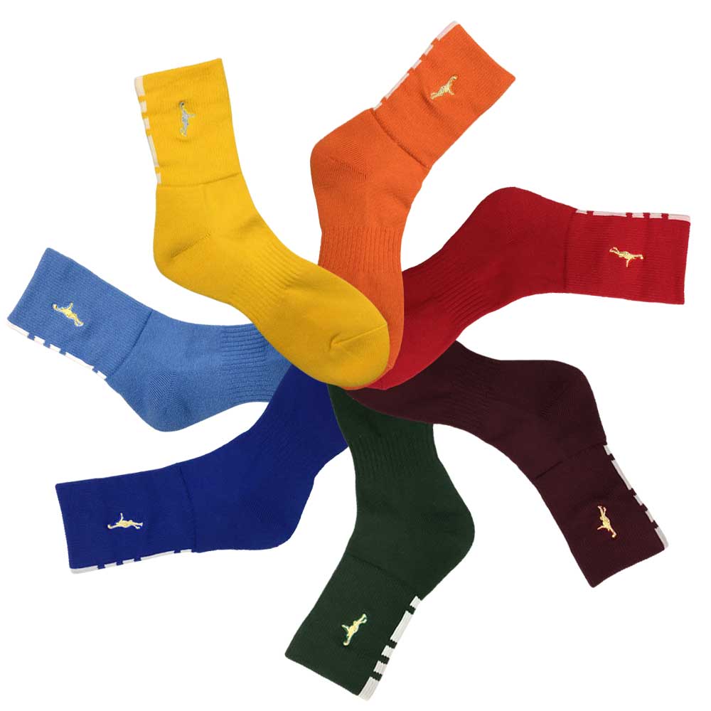 IN THE PAINT インザペイント オリジナルソックス ITP860HH