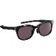Eyevol SHAW (52) DM-DG-DK.GRY 󥰥饹 Ź(shawdmdgdkgry)