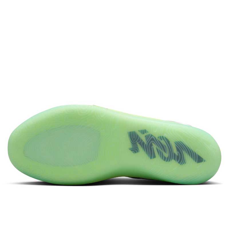 パピオン ジョーダン ザイオン 4 PF FD0591-005 メンズ バスケットボール