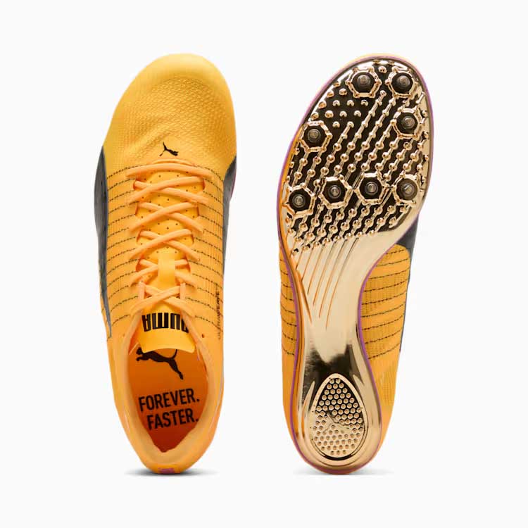 プーマ エヴォスピード ブラッシュ 6 PUMA evoSPEED BRUSH 6 ユニ